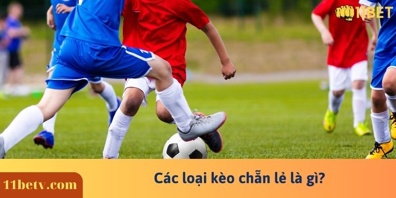Kèo Chẳn Lẻ 8 Các loại kèo chẵn lẻ là gì?