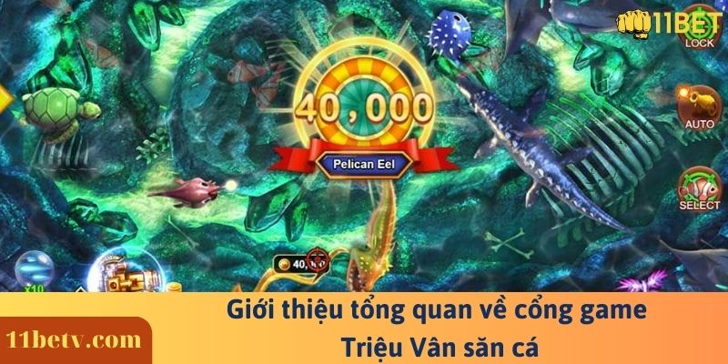 Giới thiệu tổng quan về cổng game Triệu Vân săn cá