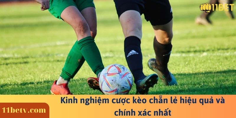 Kèo Chẳn Lẻ 11 Kinh nghiệm cược kèo chẵn lẻ hiệu quả và chính xác nhất