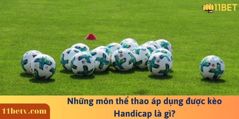 Những môn thể thao áp dụng được kèo Handicap là gì?