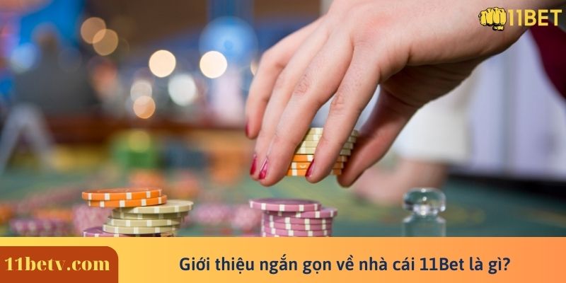 Giới thiệu chi tiết 11BET trực tiếp bóng đá