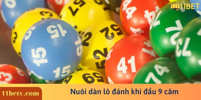 Đầu 9 câm đánh con gì - Top những lô chắc chắn thắng lớn 10 Nuôi dàn lô đánh khi đầu 9 câm