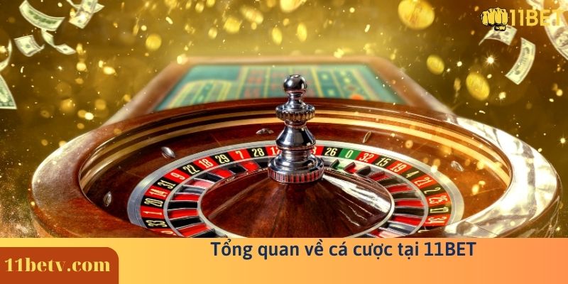 Tổng quan về cá cược tại 11BET