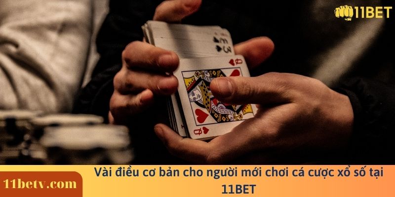 Vài điều cơ bản cho người mới chơi cá cược xổ số tại 11BET