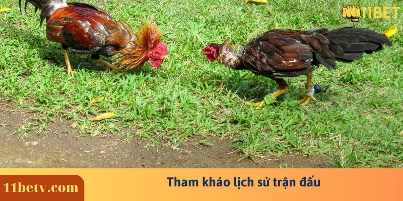 Bật Mí Cách Đá Gà Cựa Dao Online Trăm Trận Trăm Thắng 8 Tham khảo lịch sử trận đấu