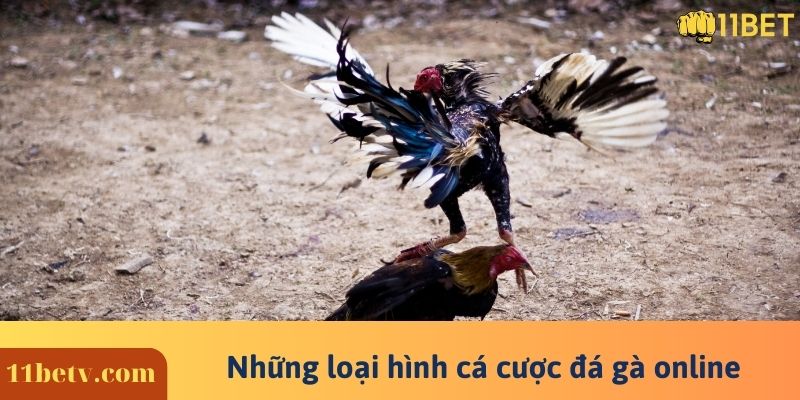 Những loại hình cá cược đá gà online
