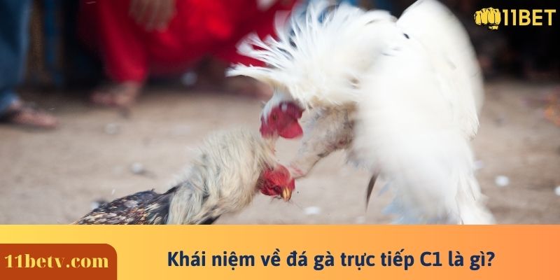 Đá Gà Trực Tiếp C1 Là Gì? Lý Giải Độ Hot Của Đá Gà C1 5 Khái niệm về đá gà trực tiếp C1 là gì?