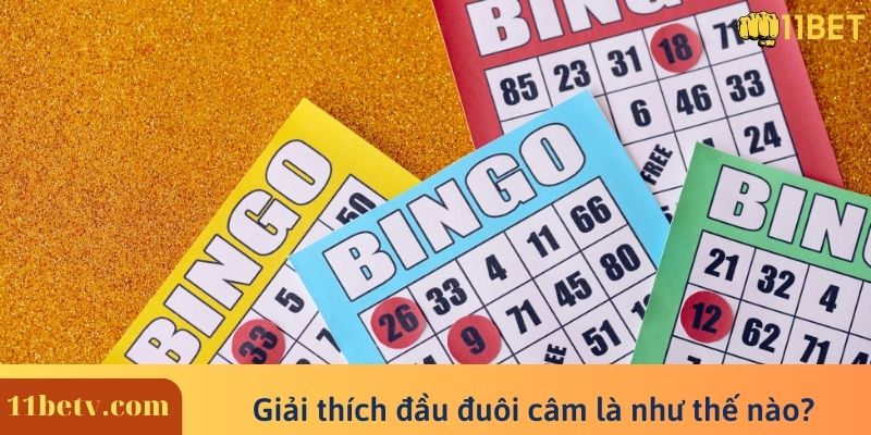 Giải thích đầu đuôi câm là như thế nào?