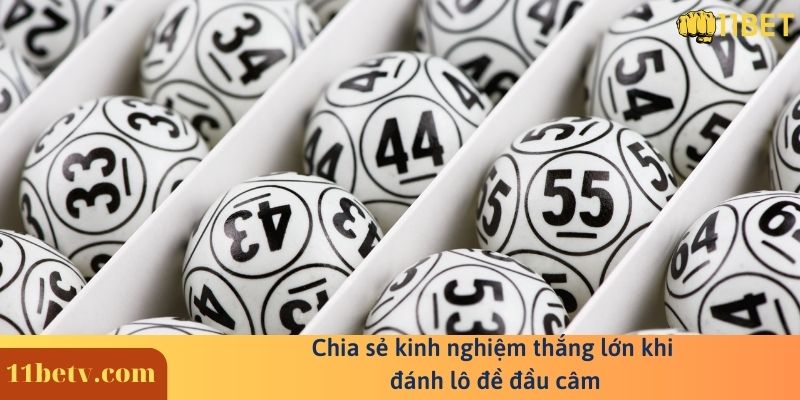 Đầu đuôi câm đánh con gì may mắn và nhanh phát tài nhất