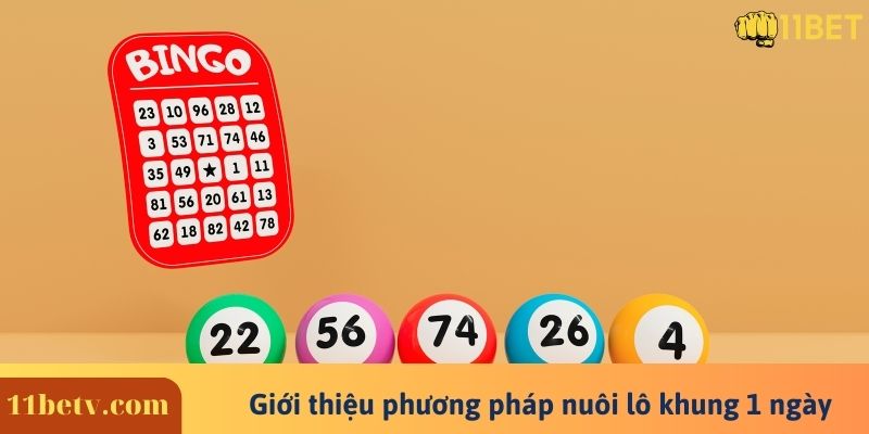 Giới thiệu phương pháp nuôi lô khung 1 ngày 