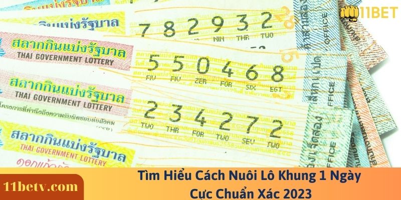 Tìm Hiểu Cách Nuôi Lô Khung 1 Ngày Cực Chuẩn Xác 2023