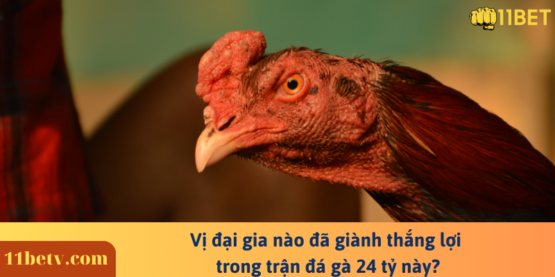 Trận Đá Gà 24 Tỷ Tại Thomo - Phi Vụ Kinh Điển Nhất Lịch Sử 7 Vị đại gia nào đã giành thắng lợi trong trận đá gà 24 tỷ này?