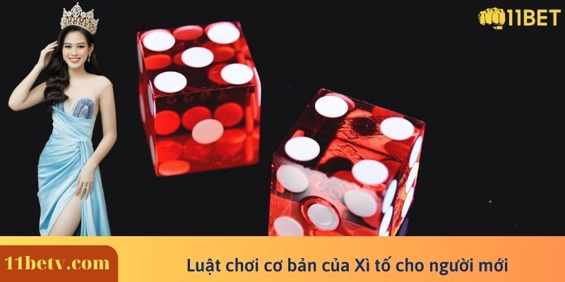 Luật chơi cơ bản của Xì tố cho người mới  
