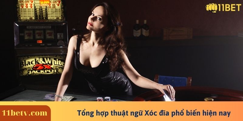 Xóc Đĩa 8 Tổng hợp thuật ngữ Xóc đĩa phổ biến hiện nay