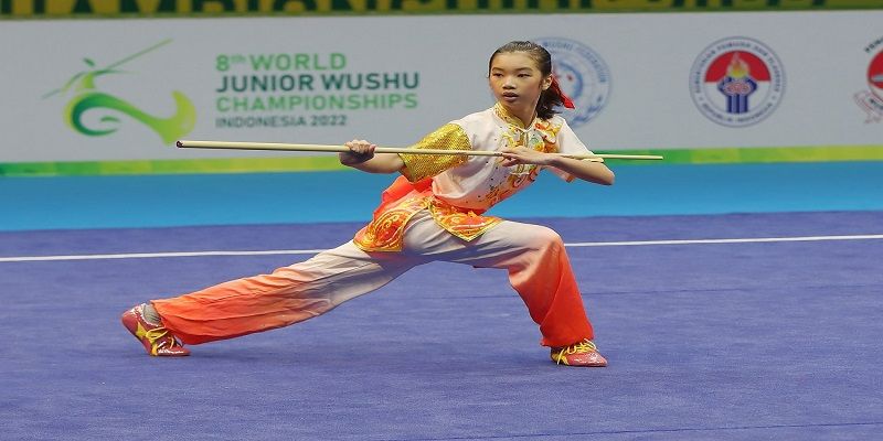 Wushu là gì?