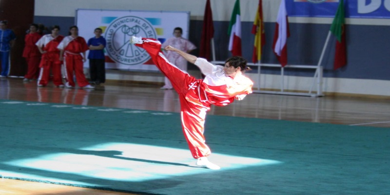 Nghệ thuật của bộ môn võ thuật Wushu