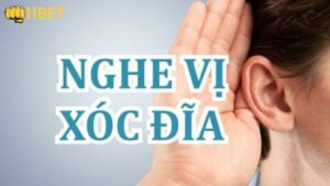 Cách nghe vị xóc đĩa