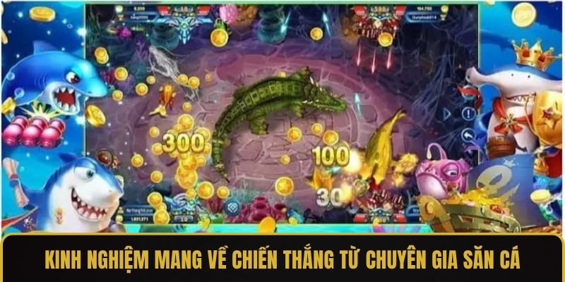 Kinh nghiệm mang về chiến thắng từ chuyên gia săn cá
