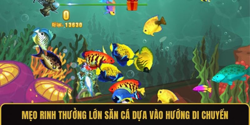 Mẹo rinh thưởng lớn săn cá dựa vào hướng di chuyển