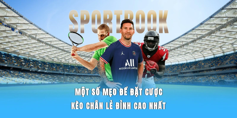 Một số mẹo để đặt cược kèo chẵn lẻ đỉnh cao nhất